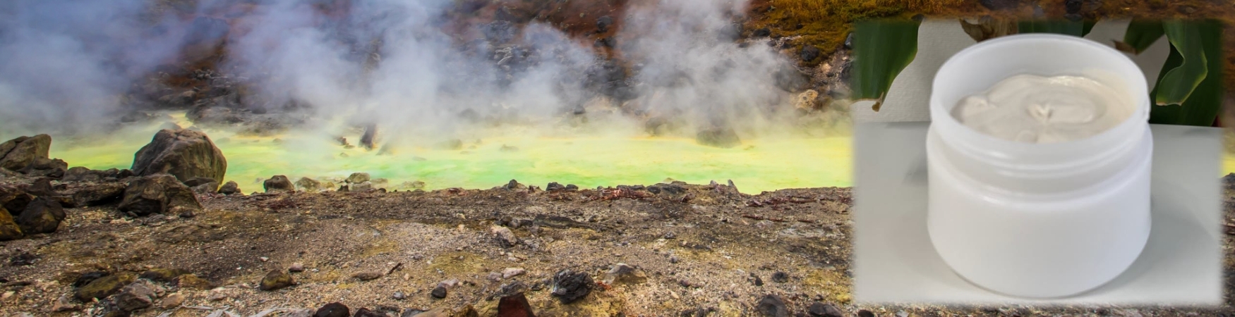 ホルルン ｜ フロンティア宮崎株式会社