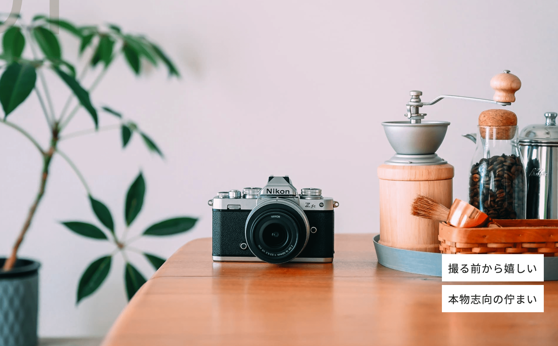 Nikon FM2のオマージュ「Nikon Z fc」が大人気！レトロなカメラの魅力