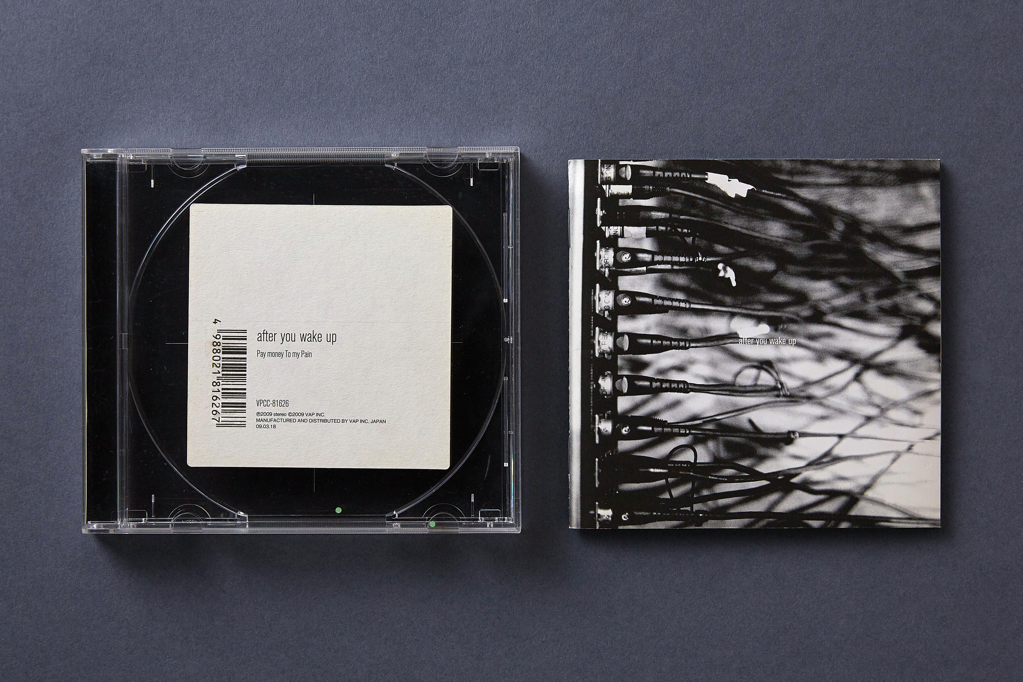 Pay money To my Pain: After you wake up (CD, 2009) - Kamikene