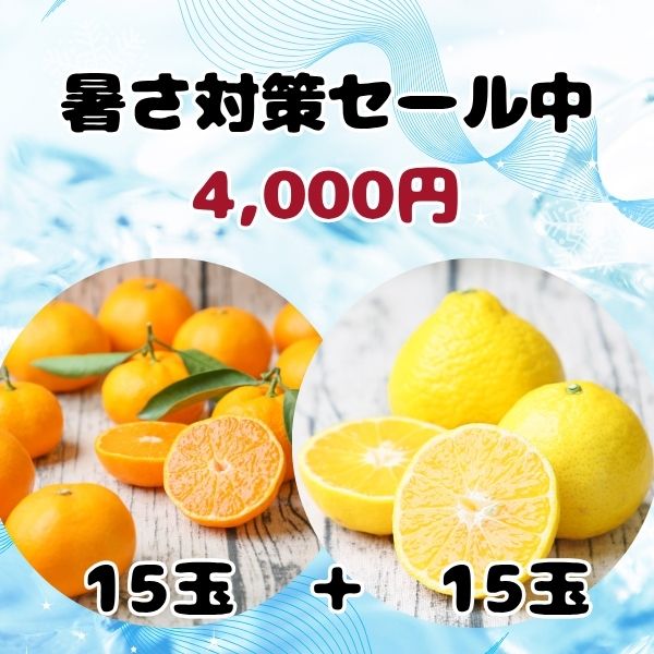 株式会社フレッシュつちやま / 冷凍みかんセット（みかん15玉・媛小春