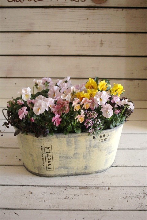 寄せ植え 鉢 ジャンクガーデン 寄せ植え 花苗通販 Garden Frais