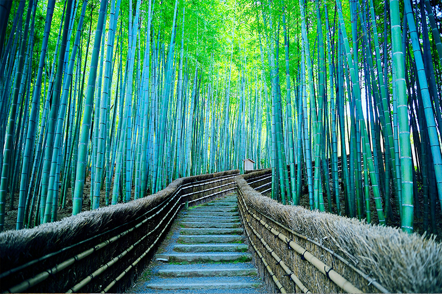 石仏群に圧倒される化野念仏寺｜観光｜FunJapo｜京都観光・グルメ