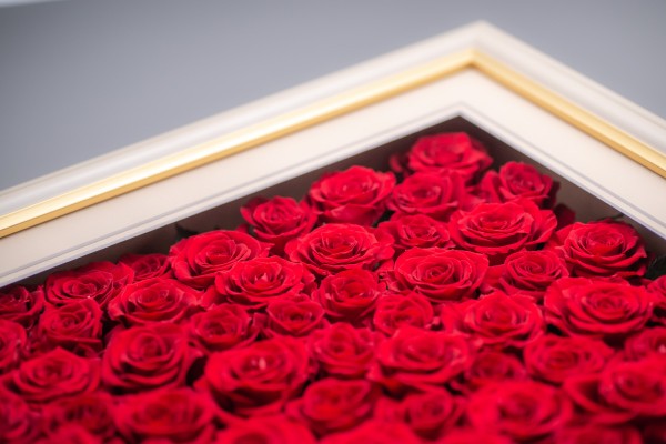 特注サイズ：108本のバラ】プリザーブドフラワー