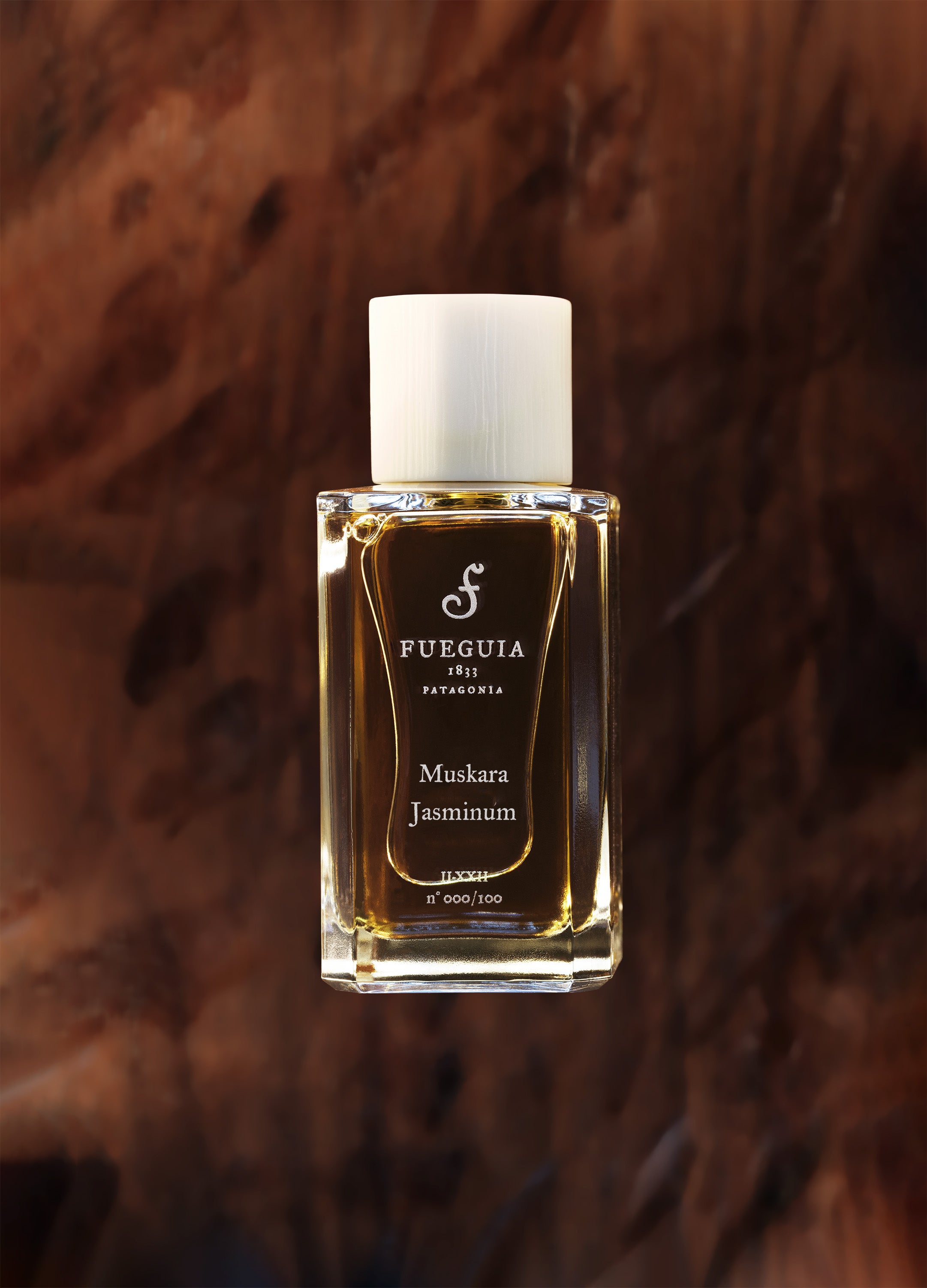 FUEGUIA 1833 | Muskara Jasminum｜ムスカラ ジャスミヌム – FUEGUIA