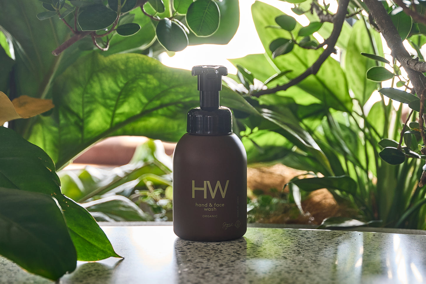 GREEN FOREST HAND&FACE WASH(森の香り) – FUFU JAPAN SELECTION