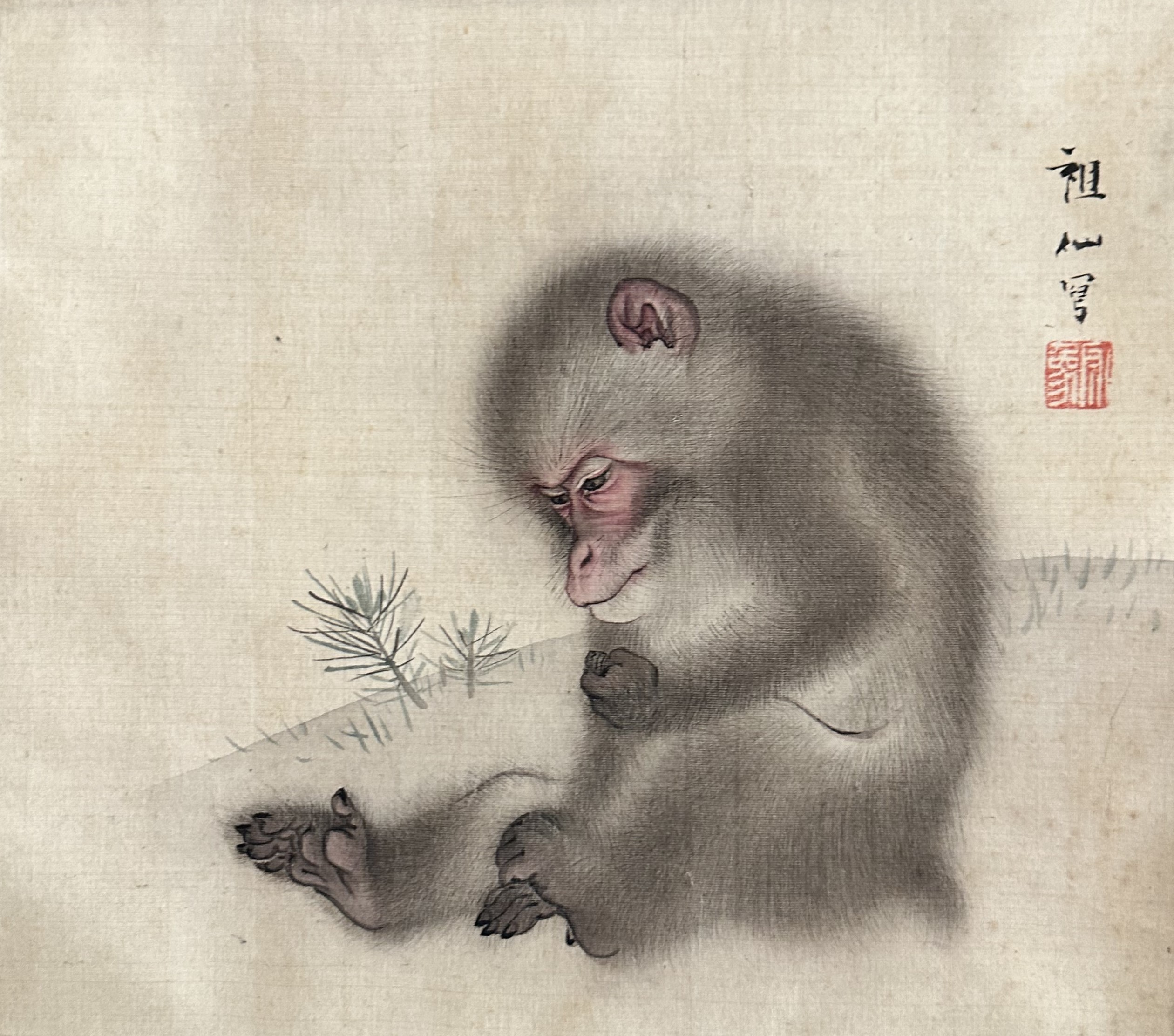 森狙仙「猿図」 - 藤美術