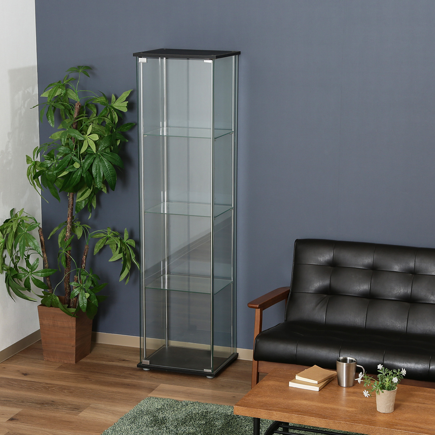 C/D:96047] ガラスコレクションケース 4段 ｜ ORDERING SHOP