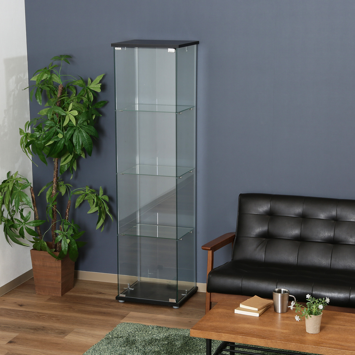 C/D:98880] ガラスコレクションケース（クリア）4段 TMG－G130