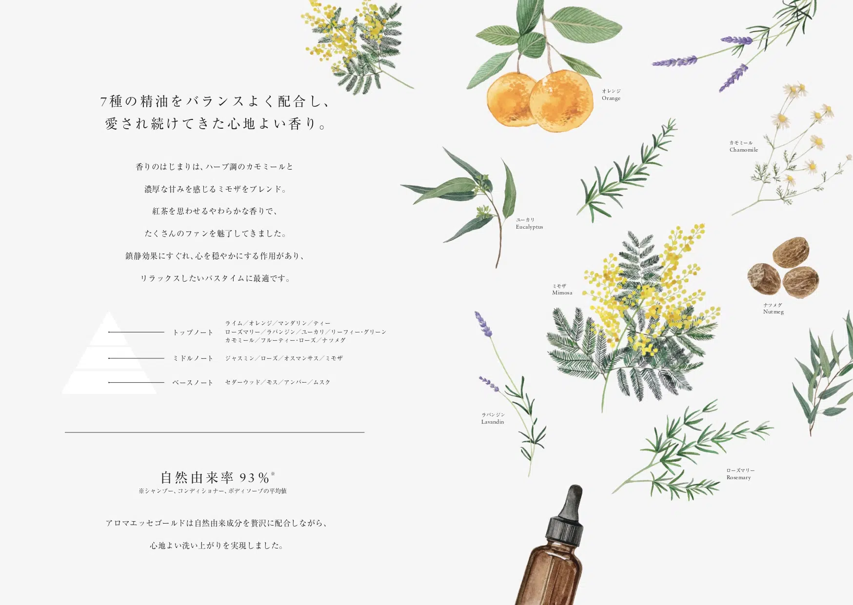 POLA アロマエッセゴールド クレンジングウォッシュ［洗顔料］1L