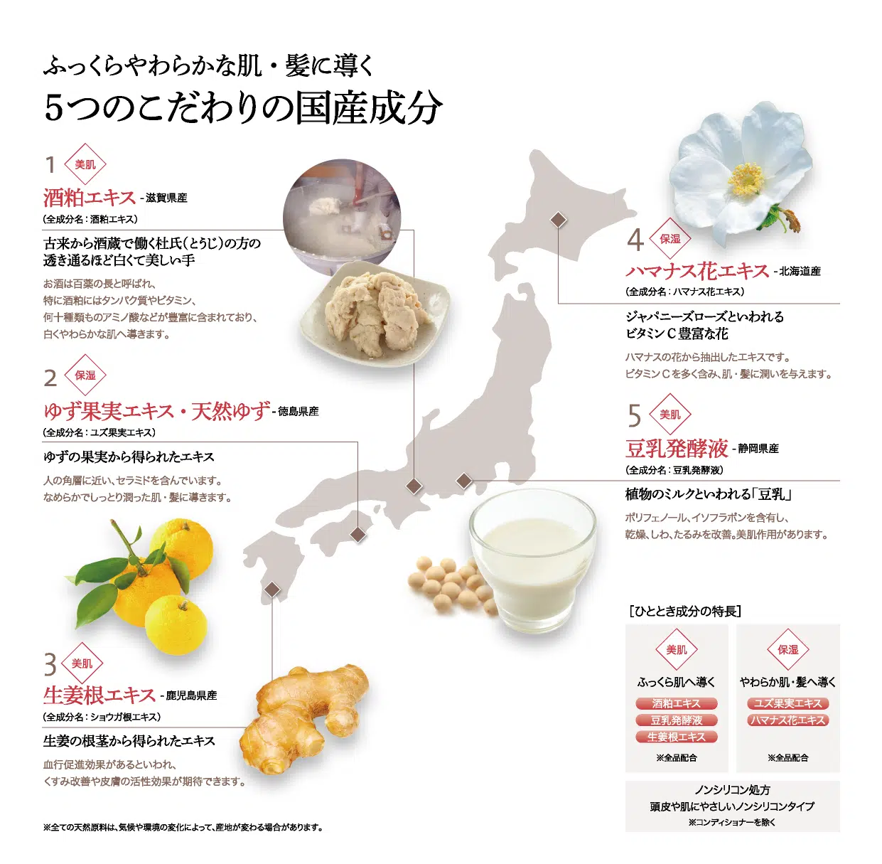 セット品］POLA ひととき シャンプー10L＆コンディショナー10L - life