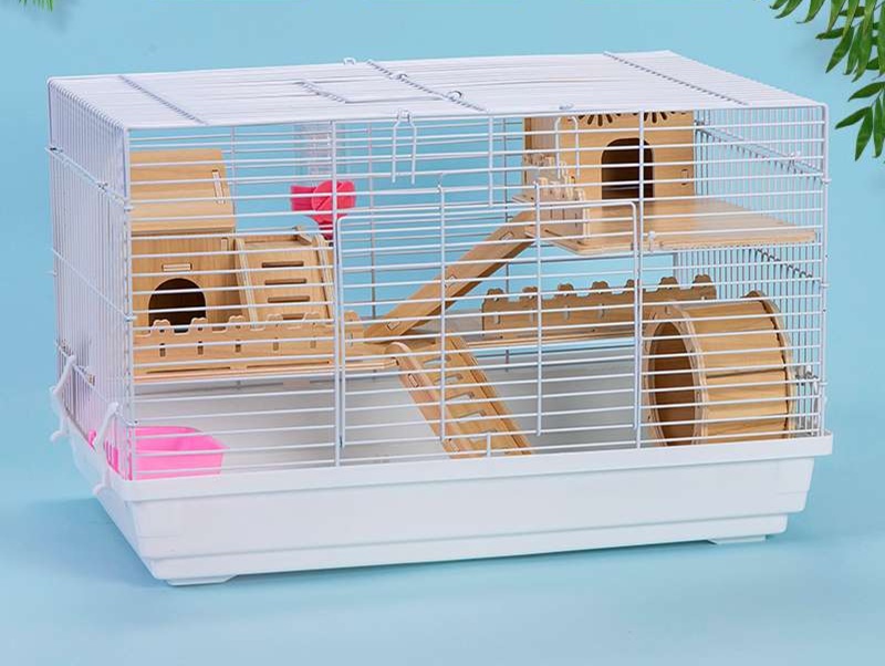 ハムスター2匹すぐ迎えられるセット ハムスター2匹すぐ迎えられるセット