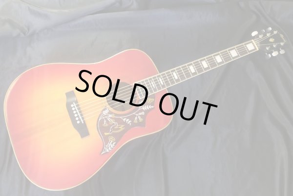 Morris / WH-25 ハミングバード 日本製 - HR/HMギター専門店 FUTURE WORLD