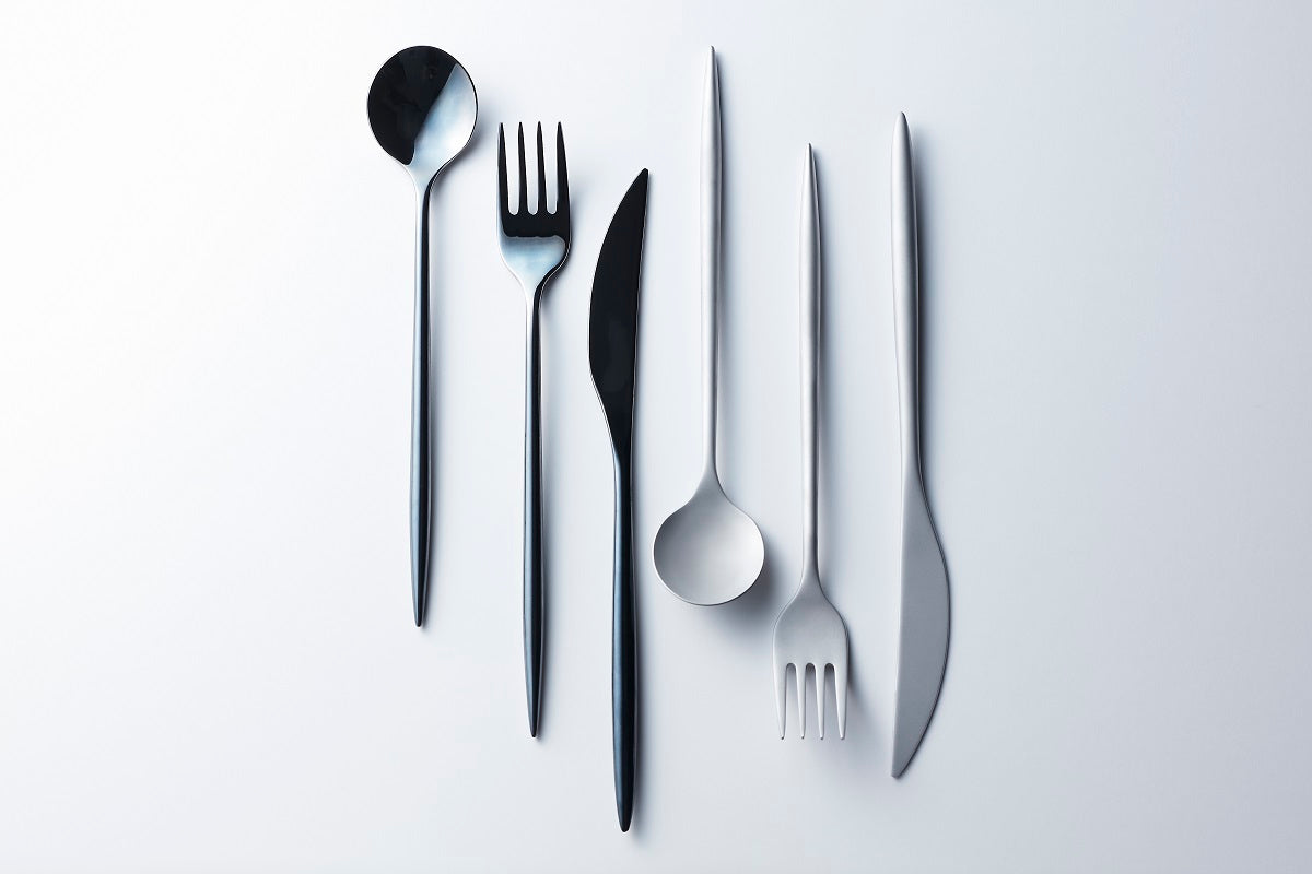 究極のカトラリー「SUGATA」Large