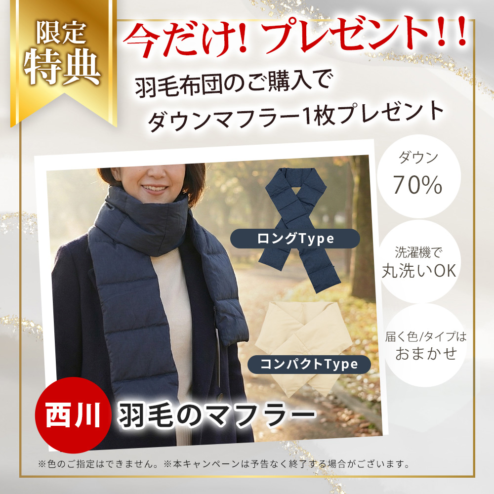 河田フェザー マザーグース 2枚合わせ 羽毛布団 シングル｜ねごこち