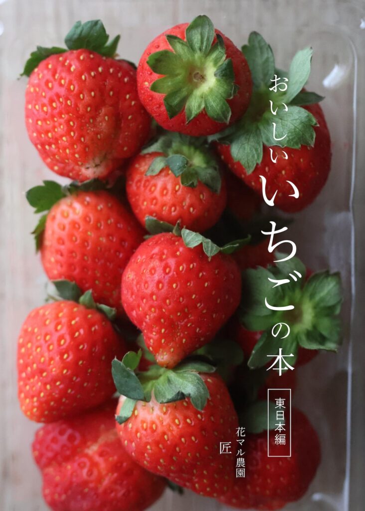 いちご選びに迷ったら。おすすめ品種ガイド［2025年版］ | FuruFumu
