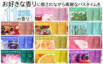 バーデンス シャンプートリートメント（フレッシュエアーの香り