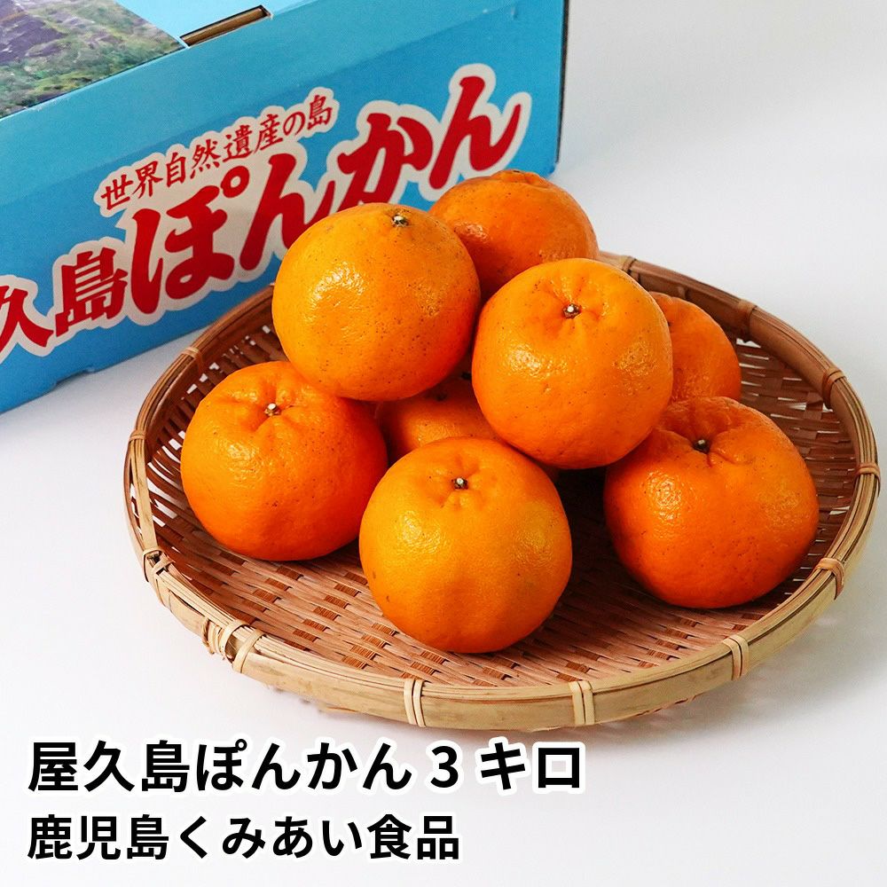屋久島ぽんかん 3キロのギフト通販・お取り寄せ | JA鹿児島ふるさと便 公式