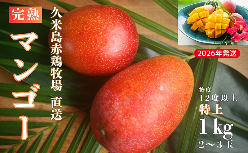 2026年発送】久米島赤鶏牧場 直送！糖度12度以上「特上」完熟マンゴー