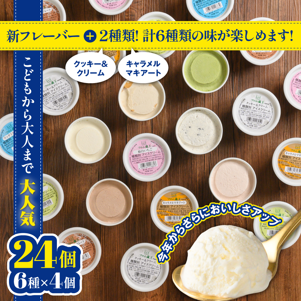 フロム蔵王 Hybrid NEO スーパーマルチアイスBOX24（6種×4個