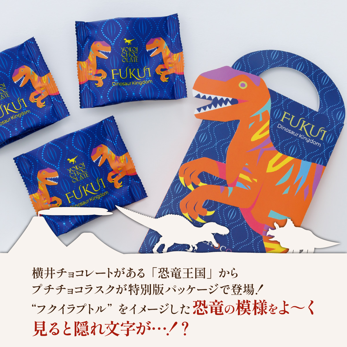 file_aee04b82c389a4a482cdd9380