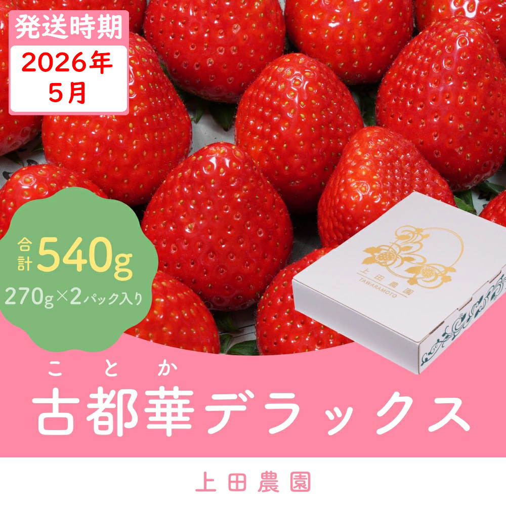 冷蔵）【5月発送分】イチゴ 奈良県産高級ブランド品種「古都華