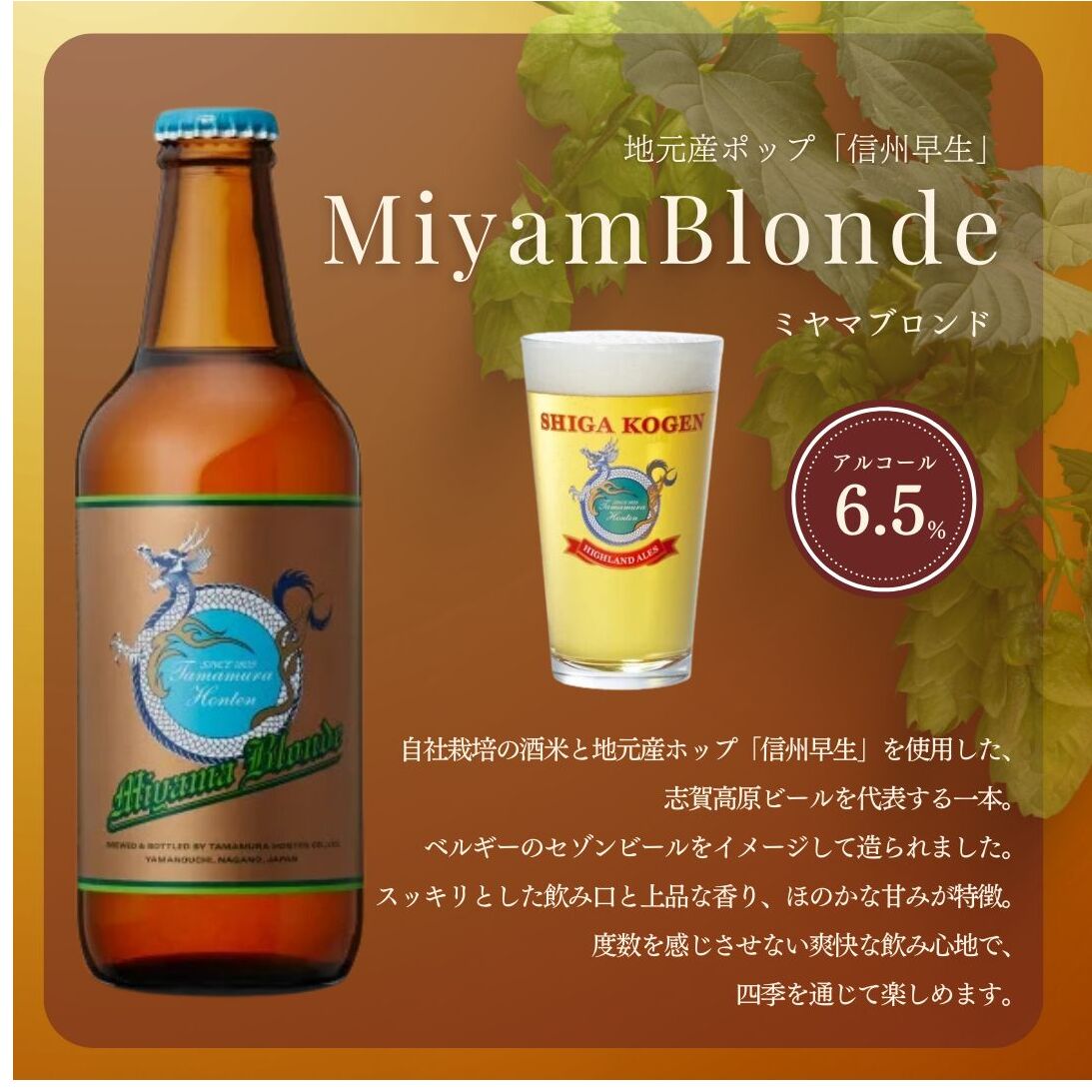 玉村本店 志賀高原ビール6本セット 【 クラフトビール 志賀高原ビール