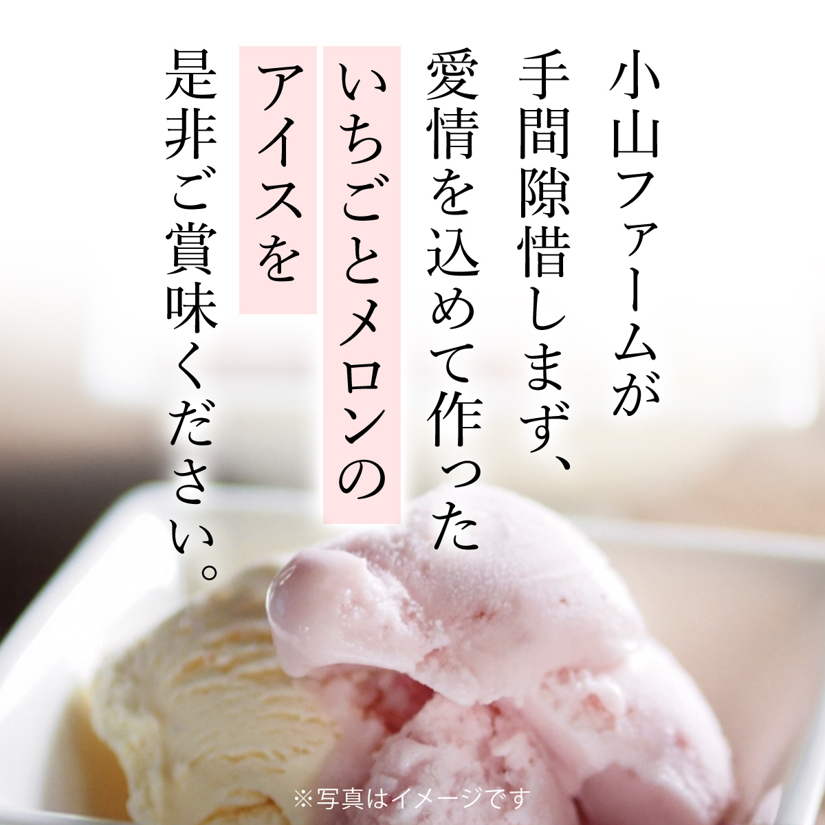 希少品種】いちごとメロンのアイス 食べ比べ5個セット SMAN013 | 千葉