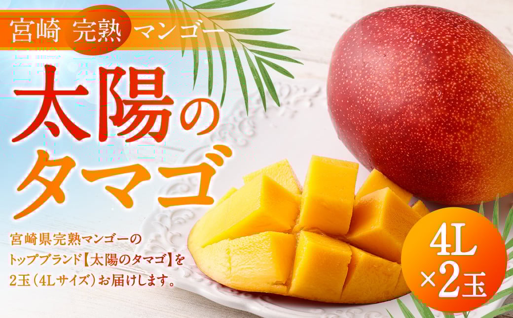 宮崎県 完熟マンゴー【太陽のタマゴ】4L×2玉 1kg＞2024年4月下旬～7月