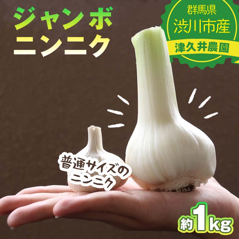 ジャンボニンニク 1kg 薬味 野菜 食品 F4H-0521 | 群馬県渋川市 | JRE
