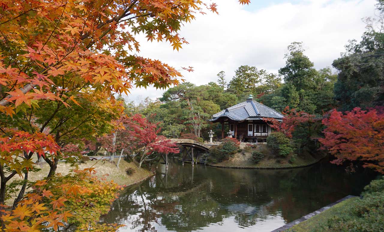 桂離宮 | 当日参観できます！一度は訪れたい日本庭園の最高峰
