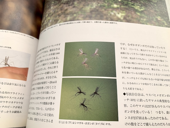 ガガンボだけは」 | フライの雑誌社