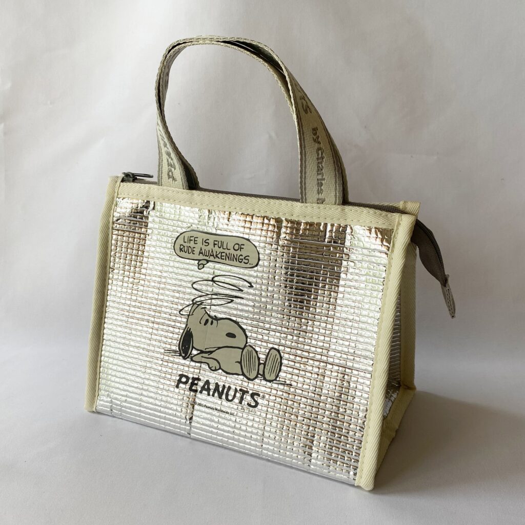 フラゲレビュー】SPRiNG（スプリング）2025年9月号《特別付録》サイズ