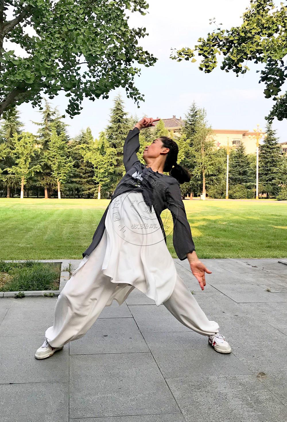 路氏白猿通背拳-体育非物质文化遗产