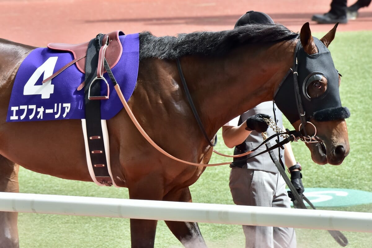 オグリキャップ、トウカイテイオーが奇跡の復活…有馬記念で共通してい