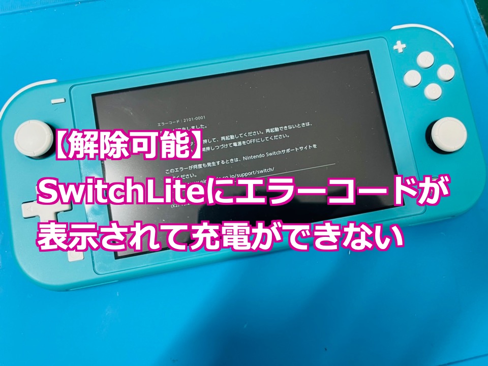 Nintendo Switch Lite エラーコードの修理 - Nintendo Switch