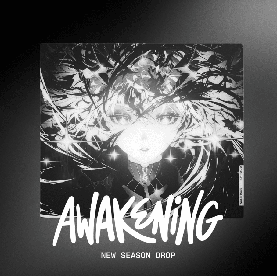 Wallhack SP-005をまとめてみた！第5世代ガラスマウスパッドは