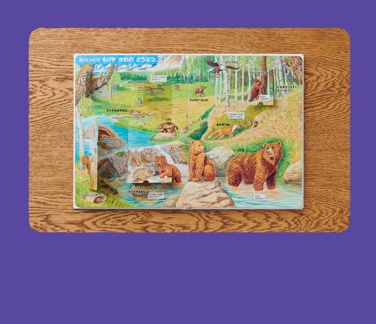 はっけんずかん｜Gakken