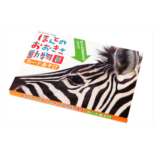 shop保育CANvol.57|ほんとのおおきさ動物園カードあそび|学研の保育用品