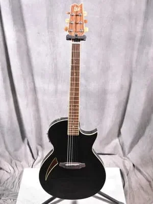 Takamine P3FCN タカミネ エレアコ エレガット ガットギター - 楽器の