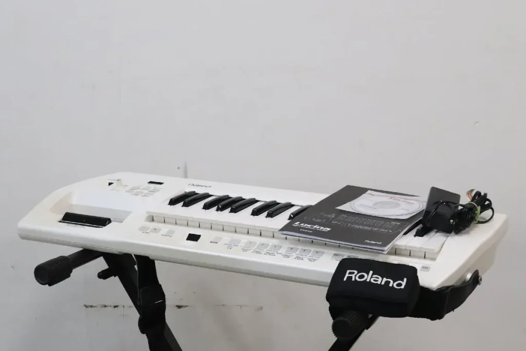 Roland ローランド Lucina AX-09 シンセサイザー ショルダーキーボード