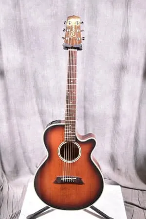 Takamine/タカミネ エレアコ/アコースティックギター PT-106 - 楽器の