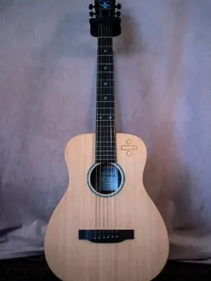 Takamine/タカミネ アコースティックギター/アコギ/エレアコ DMP751C