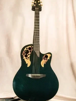 Takamine P3FCN タカミネ エレアコ エレガット ガットギター - 楽器の
