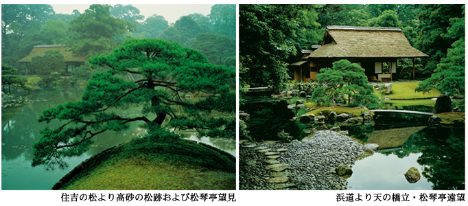 桂離宮 日本の美 西川孟 ｜ NOEVIR