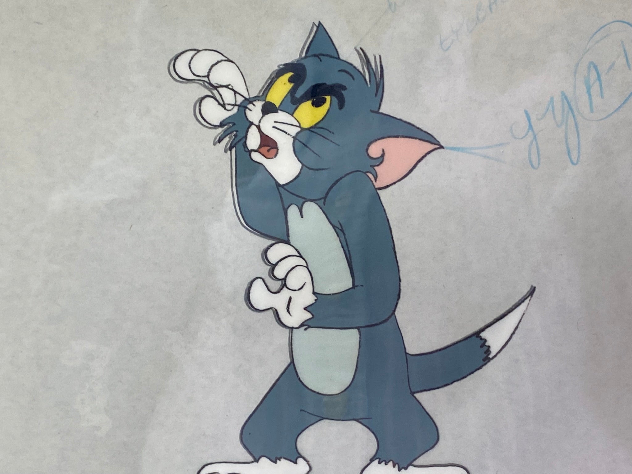 Tom and Jerry - Original drawing and cel of Tom – Gallery Animation