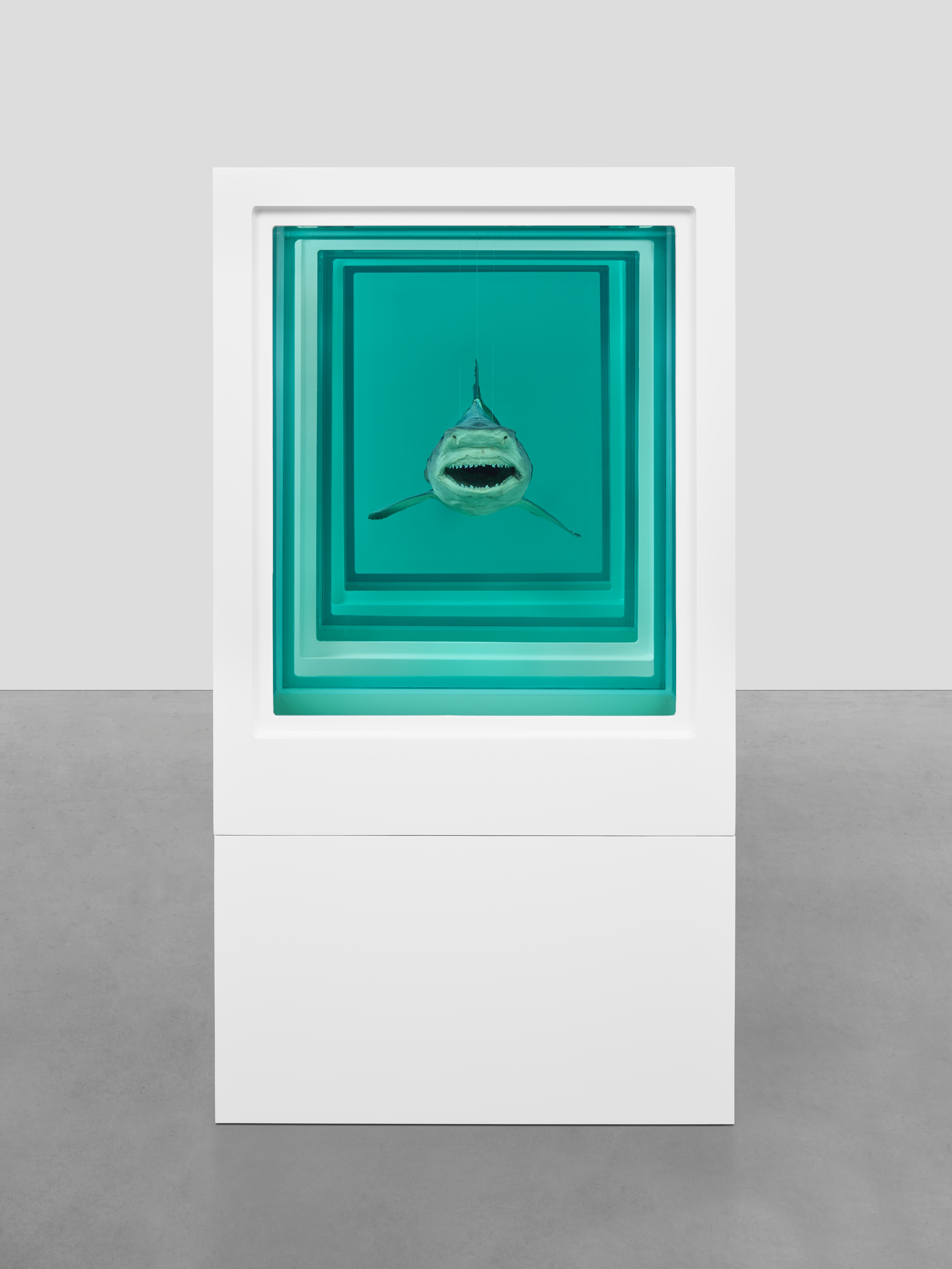 Damien Hirst: Visual Candy and Natural History, Hong Kong