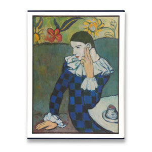 A Foreigner Called Picasso Book | Gagosian Shop