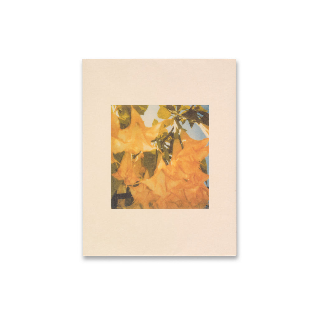 Cy Twombly: Photographs Book | Gagosian Shop