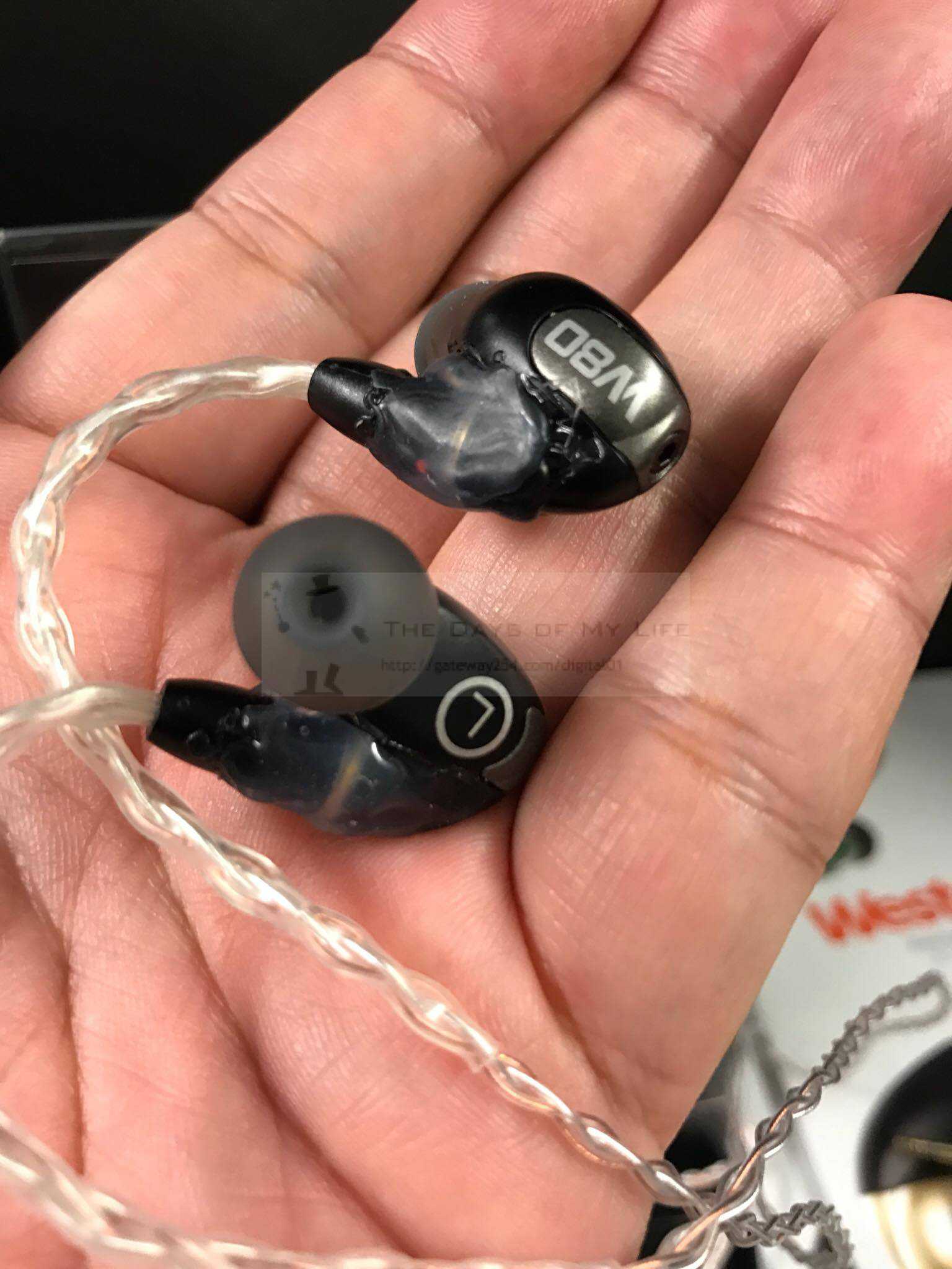 気ままに試聴 イヤホン Westone WST-W80 | The Days of My Life