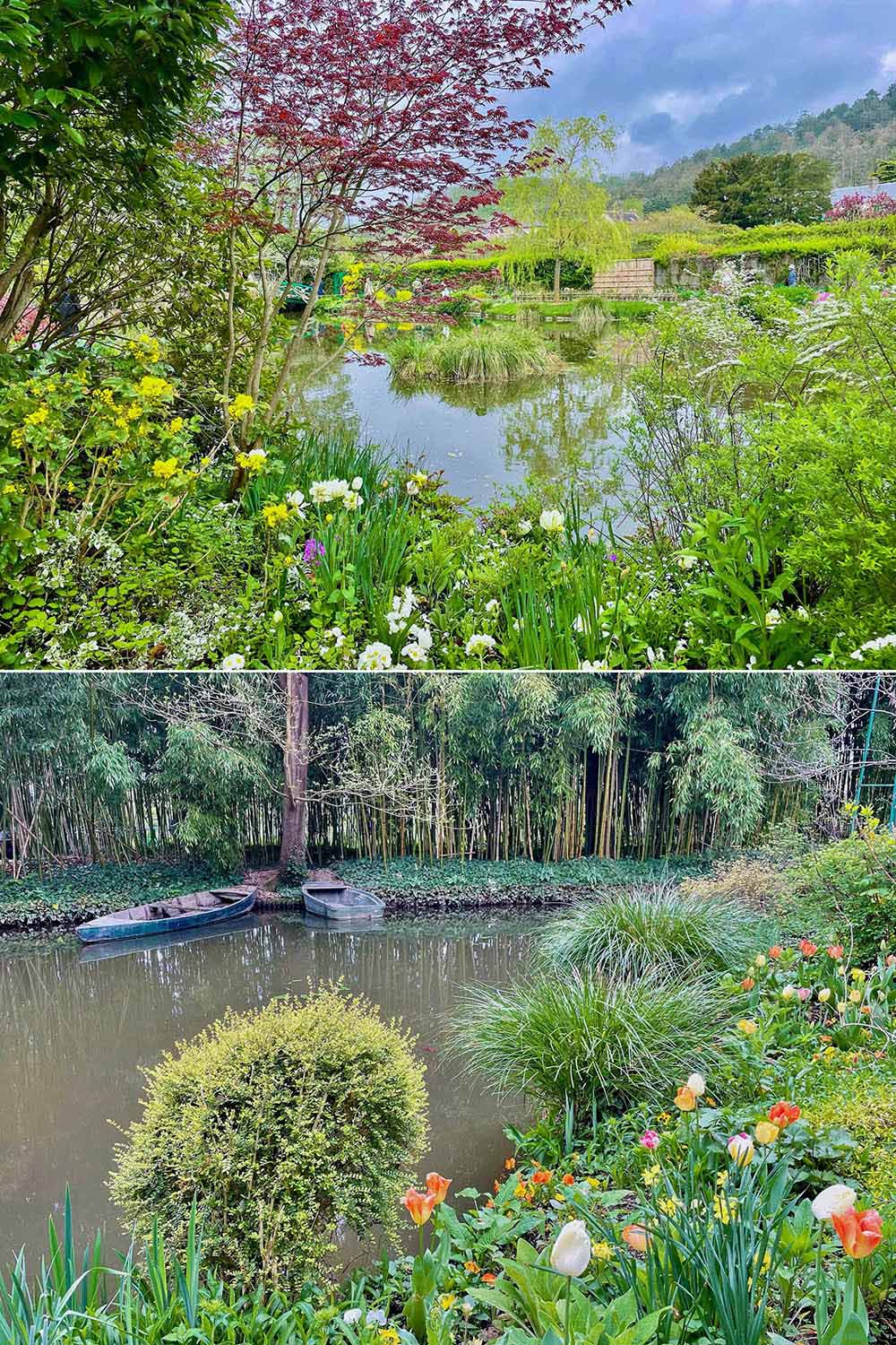 年間75万人が訪問するフランス「モネの庭」 なぜ人々は心奪われる